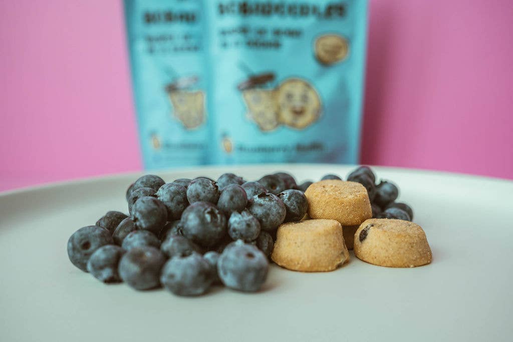 Blueberry Muffin Bobadoodles | Molly BZ